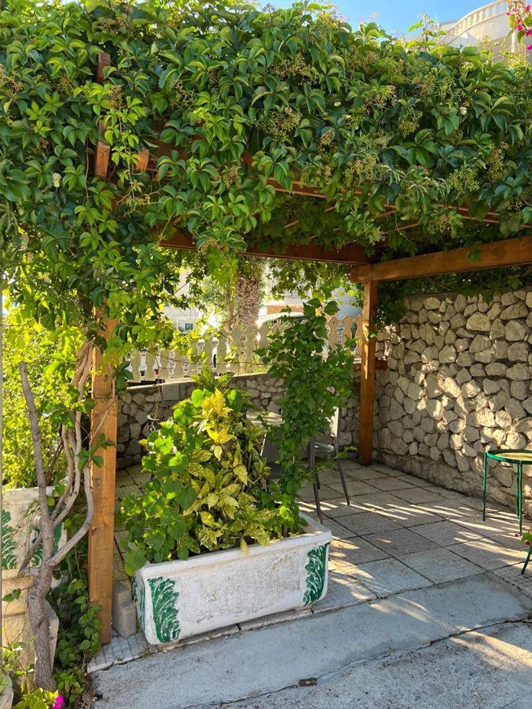 Pansion Ivana Baška Voda Exterior foto