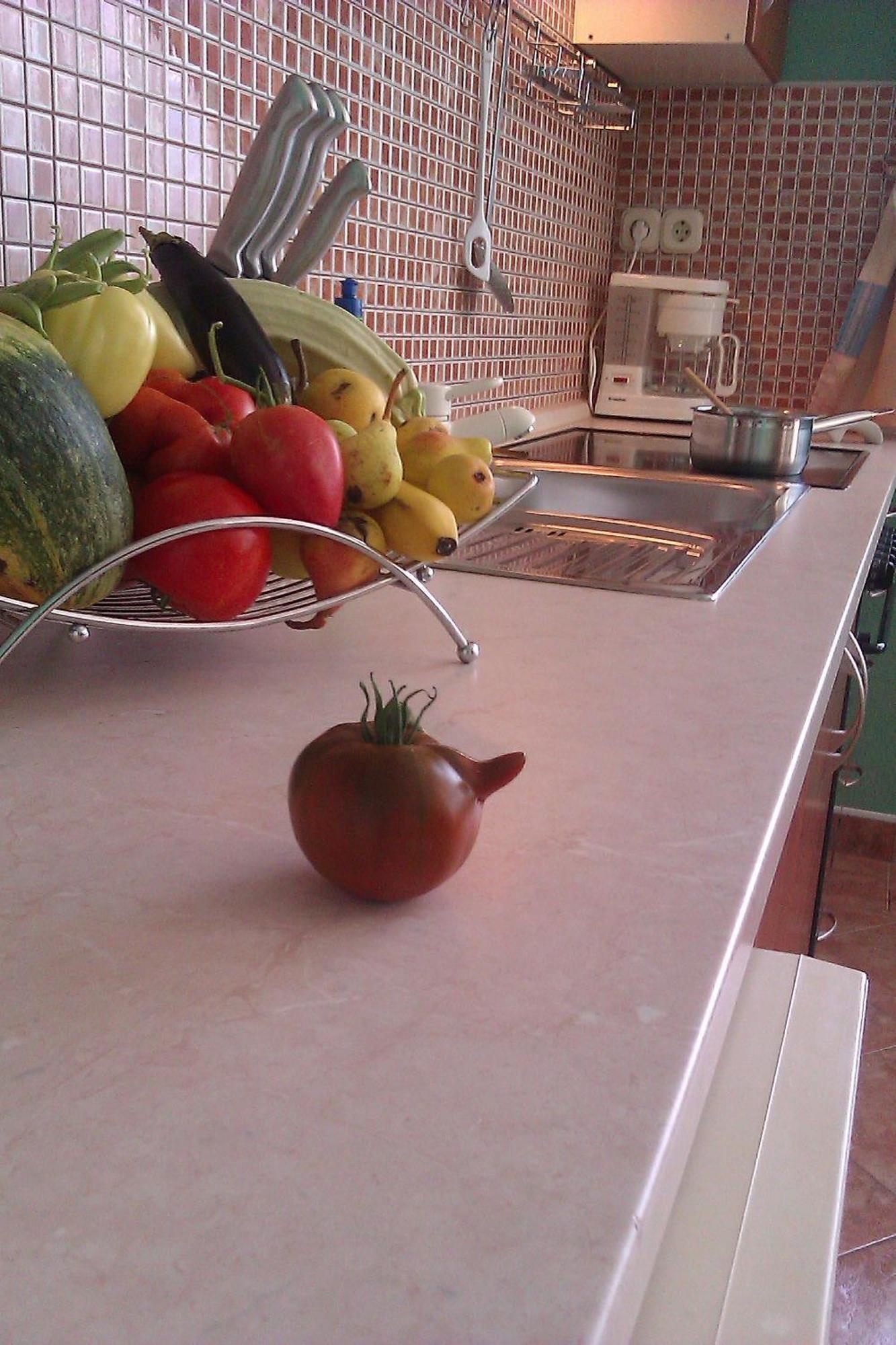 Pansion Ivana Baška Voda Habitación foto